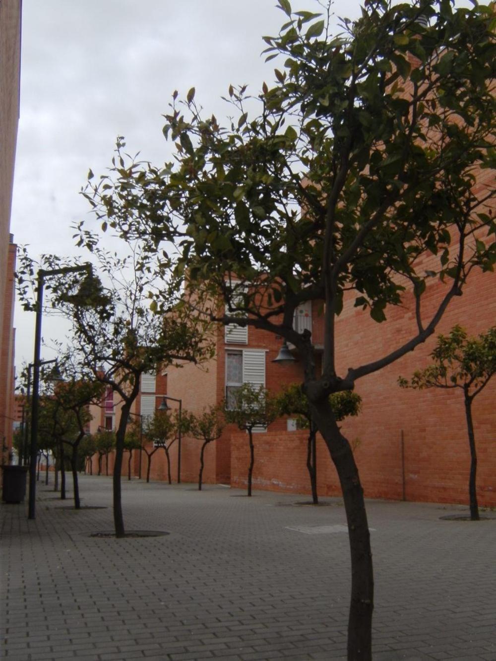 Students Only- Residencia Universitaria Alberto Jimenez - Malaga — Photos 2